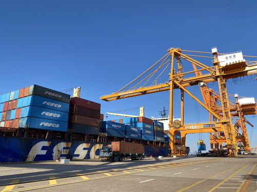 新华社聚焦 温州 高水平开放助推高质量发展