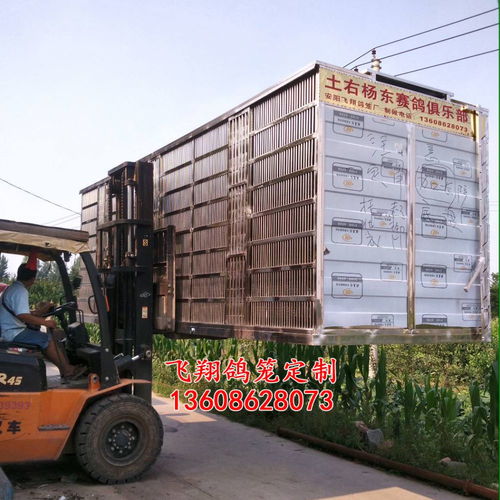 飞翔鸽笼 不锈钢放飞笼 训放笼 赛鸽笼 赛鸽集装箱产品展示