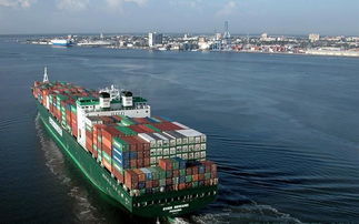 潮州、深圳至奉化集装箱海运 高效物流解决方案与专业服务